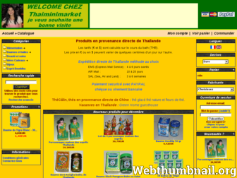 thaiminimarket.com website preview