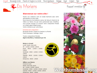 fleuriste-fleur-exotique-interflora-livraison-fleur-plante.touslesjardinsdumonde.com website preview