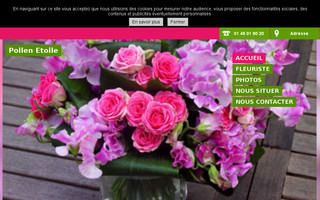 pollen-fleurs-paris.fr website preview