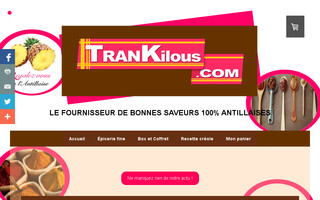 trankilous.com website preview