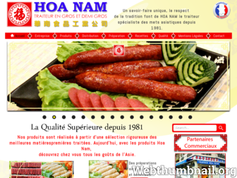 hoanam.com website preview