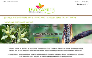 david-vanille.fr website preview