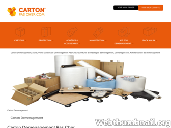 carton-pas-cher.com website preview