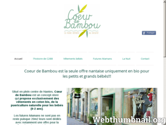 coeur2bambou.fr website preview