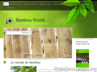 bambouworld.fr website preview