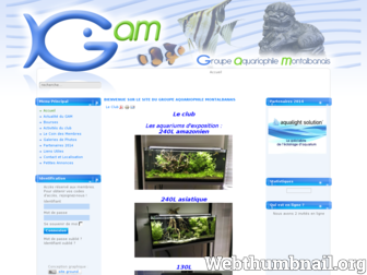 gam82.free.fr website preview