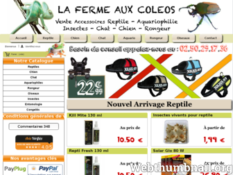 lafermeauxcoleos.fr website preview