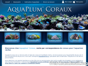 aquaplumcoraux.com website preview