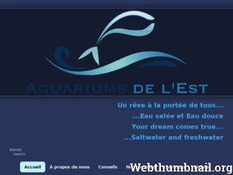 aquariumsdelest.com website preview