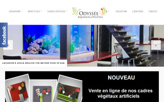 aquas.fr website preview