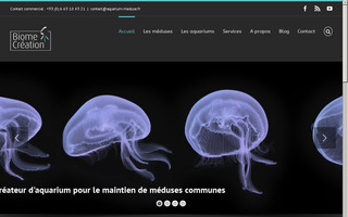 aquarium-meduse.fr website preview