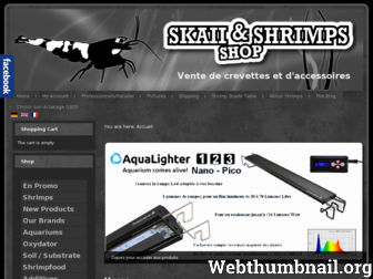 skaii-and-shrimps.com website preview