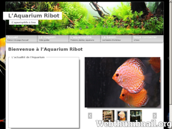 aquarium-ribot.fr website preview