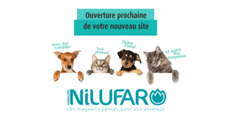 nilufar.fr website preview