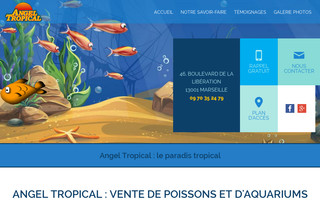 angel-tropical.fr website preview