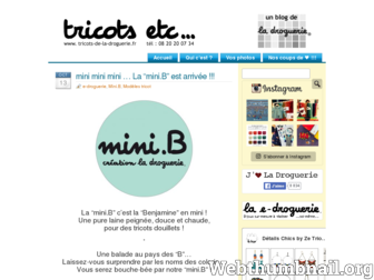 tricots-de-la-droguerie.fr website preview