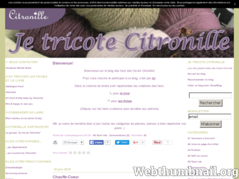 tricotcitronille.canalblog.com website preview