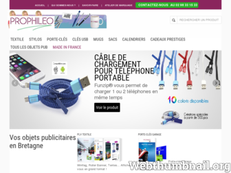 prophileo.fr website preview