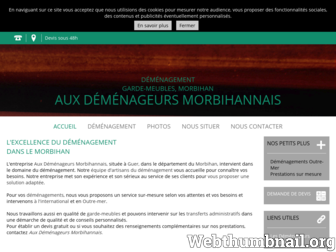 demenageurs-morbihan.fr website preview