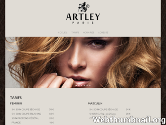 artley.fr website preview