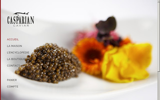 casparian-caviar.fr website preview