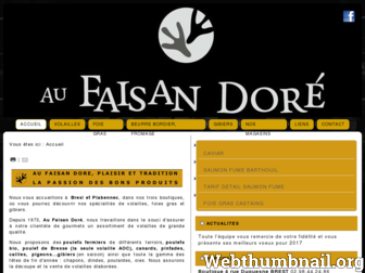faisandore.fr website preview