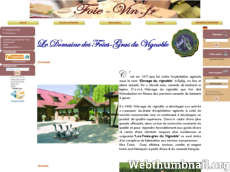 foie-vin.fr website preview