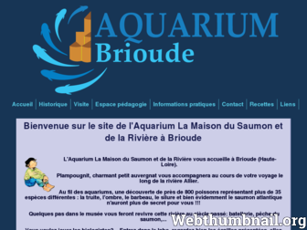 aquariummaisondusaumon.com website preview