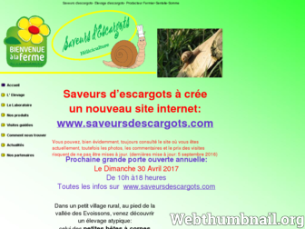 saveursdescargots.fr website preview