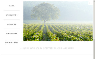 champagne-domaine-la-borderie.fr website preview