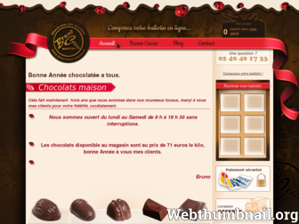 chocolatier-nantes.fr website preview