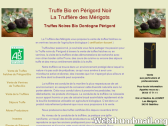 truffenoire-bio.fr website preview