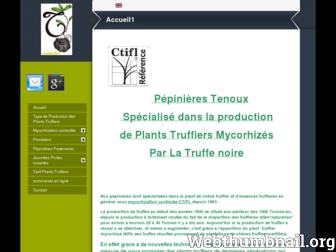 pepinierestenoux.fr website preview