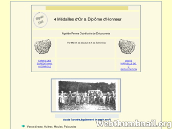 huitre-bretagne.com website preview