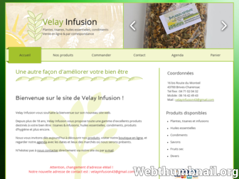 velay-infusion.com website preview