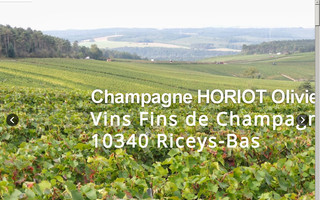 horiot.fr website preview