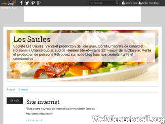 les-saules.over-blog.fr website preview