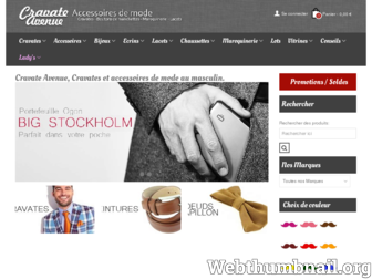 cravate-avenue.com website preview