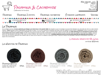 pashminacachemire.com website preview