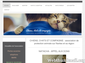 association-chiens-chats-et-compagnie.fr website preview