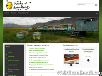 ruche-apiculture.com website preview