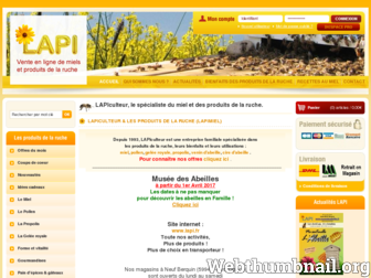 lapi-miel.fr website preview