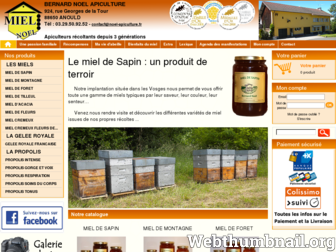 noel-apiculture.fr website preview