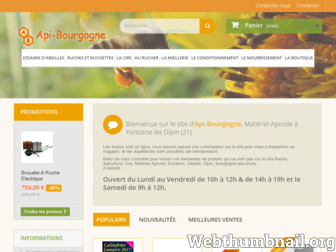 api-bourgogne.fr website preview