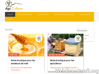 api-culture.fr website preview