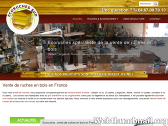 ecoruches.com website preview
