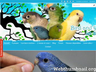 birdandyou.com website preview