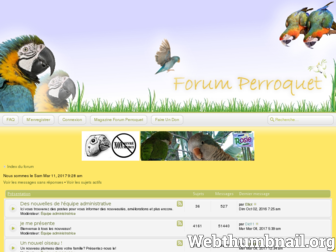 forum-perroquet.com website preview
