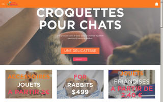 lami-croquettes.fr website preview