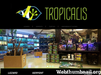 tropicalis.fr website preview